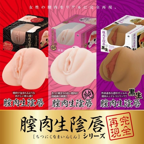 A-One - Chitsuniku Masturbator photo