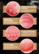 Drywell - Tsubomi Lifelike Silicone Masturbator photo-15