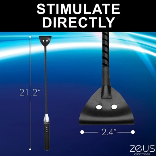Zeus Electrosex - 电刺激马鞭 - 黑色 照片