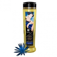 Shunga - 誘惑午夜花按摩油 - 240ml 照片