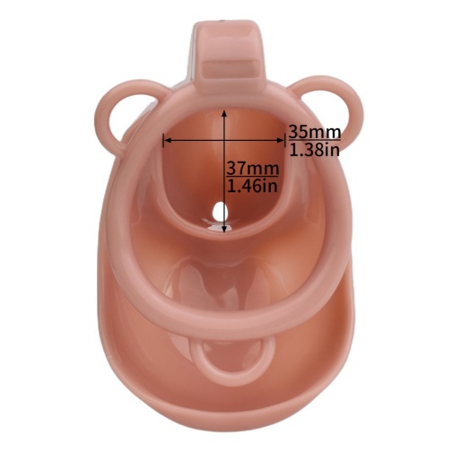 FAAK - Clitoris Chastity Cage w Belt & Plug - Skin photo