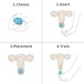 Lovetoy - Ocean's Toner Pelvic Egg Set - Blue photo-11