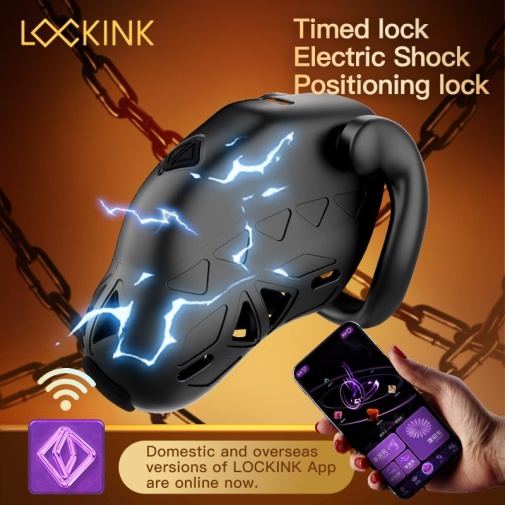Lockink - Zhiji APP智能遙控 電子男用貞操鎖 照片