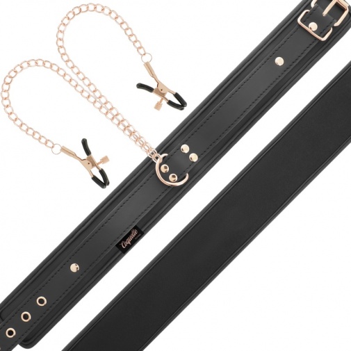 Coquette - Chic Desire Collar w Nipples Clamps - Black photo
