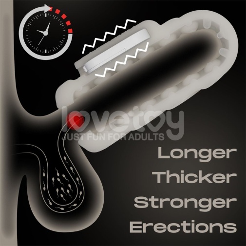 Lovetoy - Knights Ring Vibro 2in1 Sleeve - Spiral photo