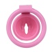 FAAK - Resin Pussy Chastity Cage - Pink photo-8