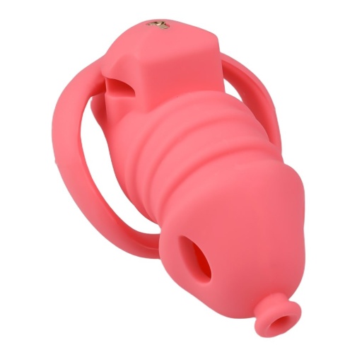 FAAK - Long Resin Chastity Cage - Red photo