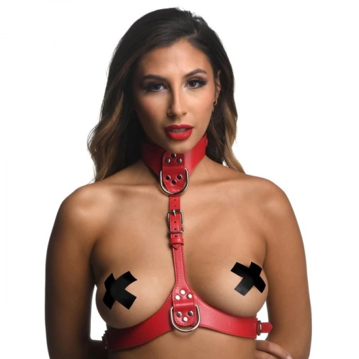 Strict - Female Chest Harness - Red - M/L photo