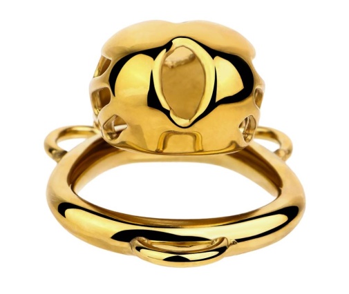 FAAK - Chastity Cage 184 w Belt & Plug - Gold photo