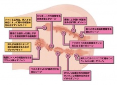 SSI - Real Body 安川川優 D罩杯 9kg自慰器 照片