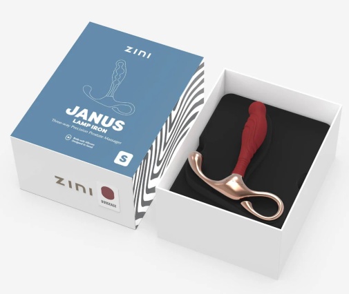 Zini - Janus Lamp Iron Prostate Massager S - Bordeaux photo