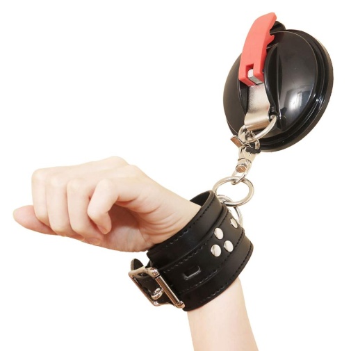 SMVIP - Strong Suction Cup 2 pcs Set photo