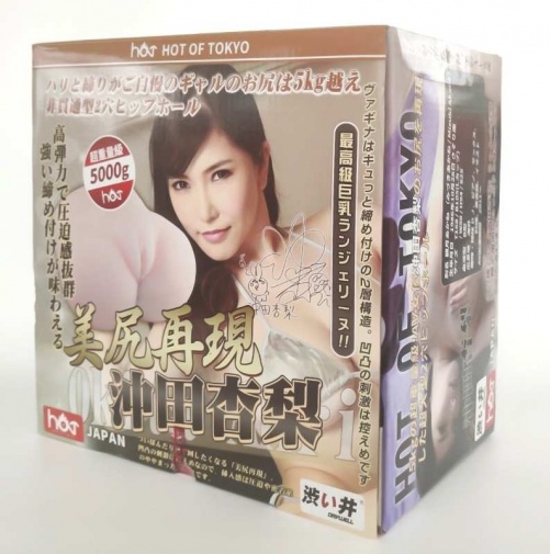 Drywell - Okita Anri Silicone Masturbator 5kg photo