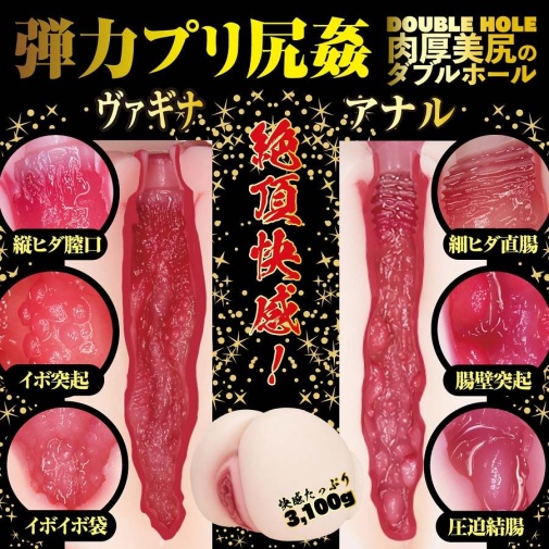 NPG - Eimi Fukada 2 孔自慰器 3.1kg 照片