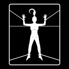 Fetish Submissive - 豪華床上束縛套裝 - 黑色 照片